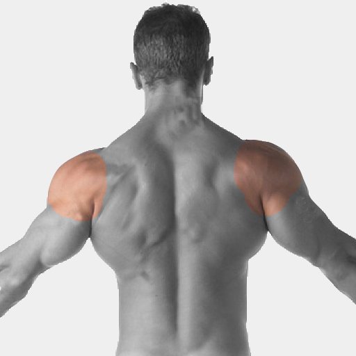 What is the best shoulder workout?
