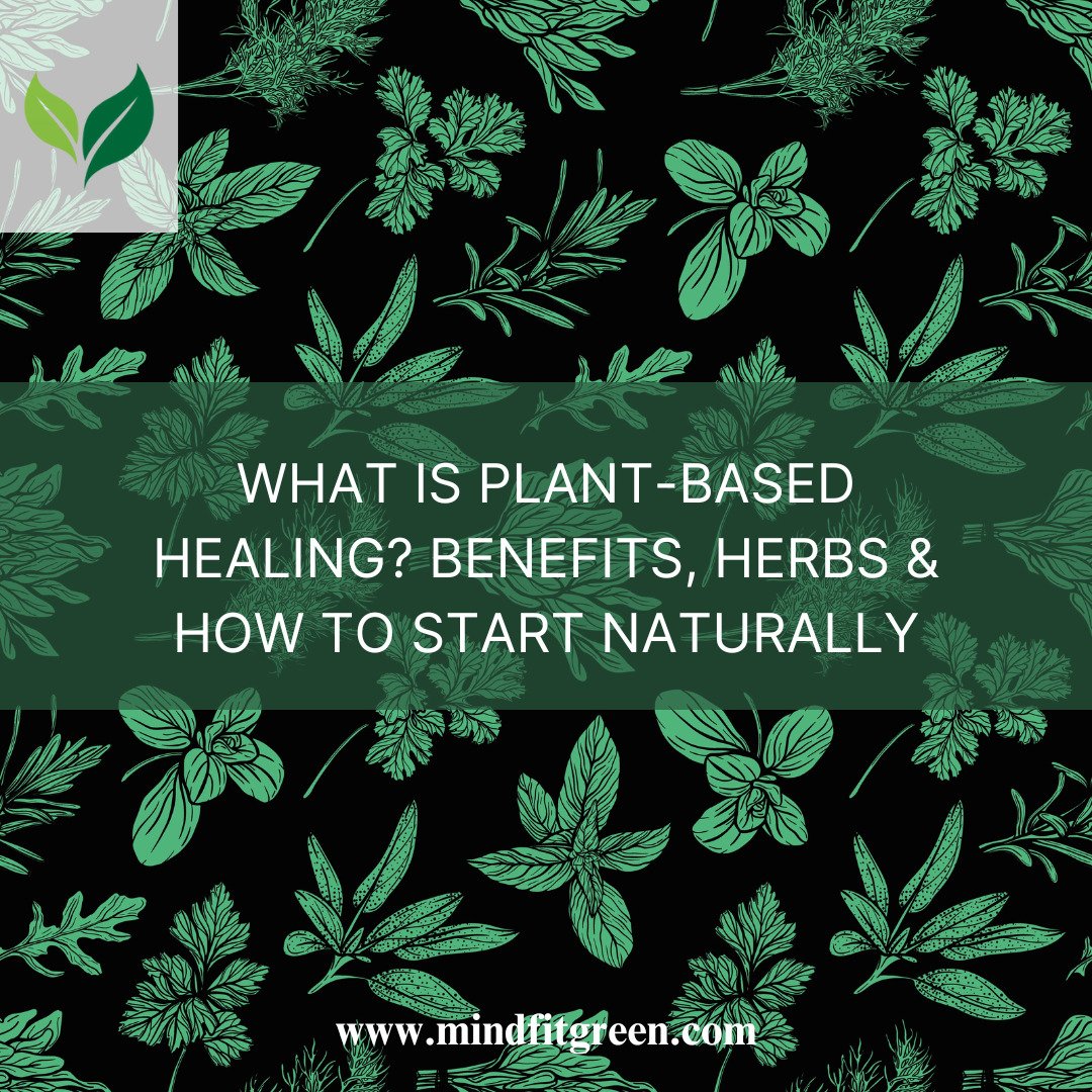 What Is Plant-Based Healing? Benefits, Herbs & How to Start Naturally