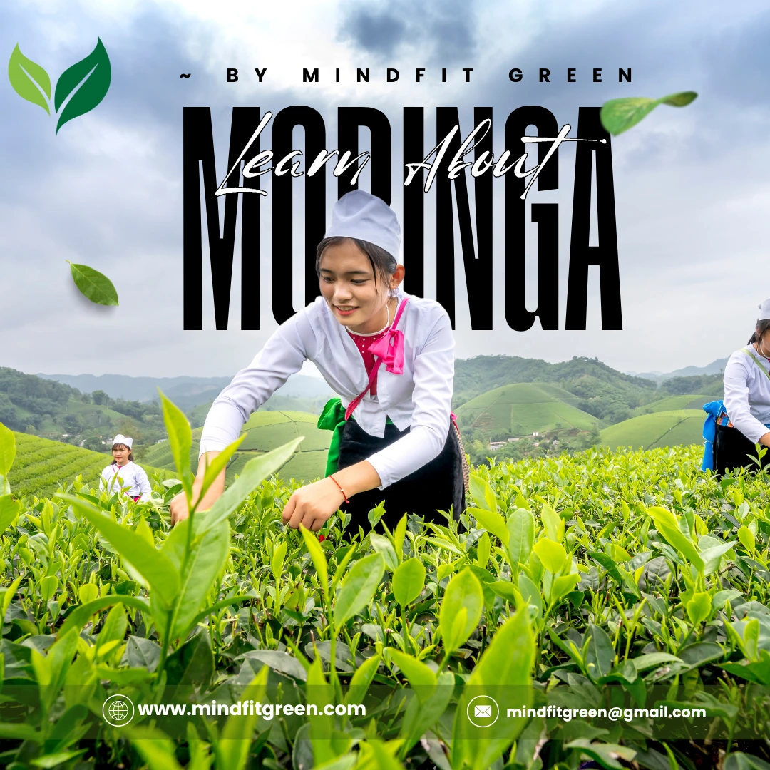 Moringa Health Benefits for Immunity, Weight Loss, Skincare, Diabetes, Fertility, Pregnancy & Anti-Aging: Plus How to Use It Daily for Maximum Results