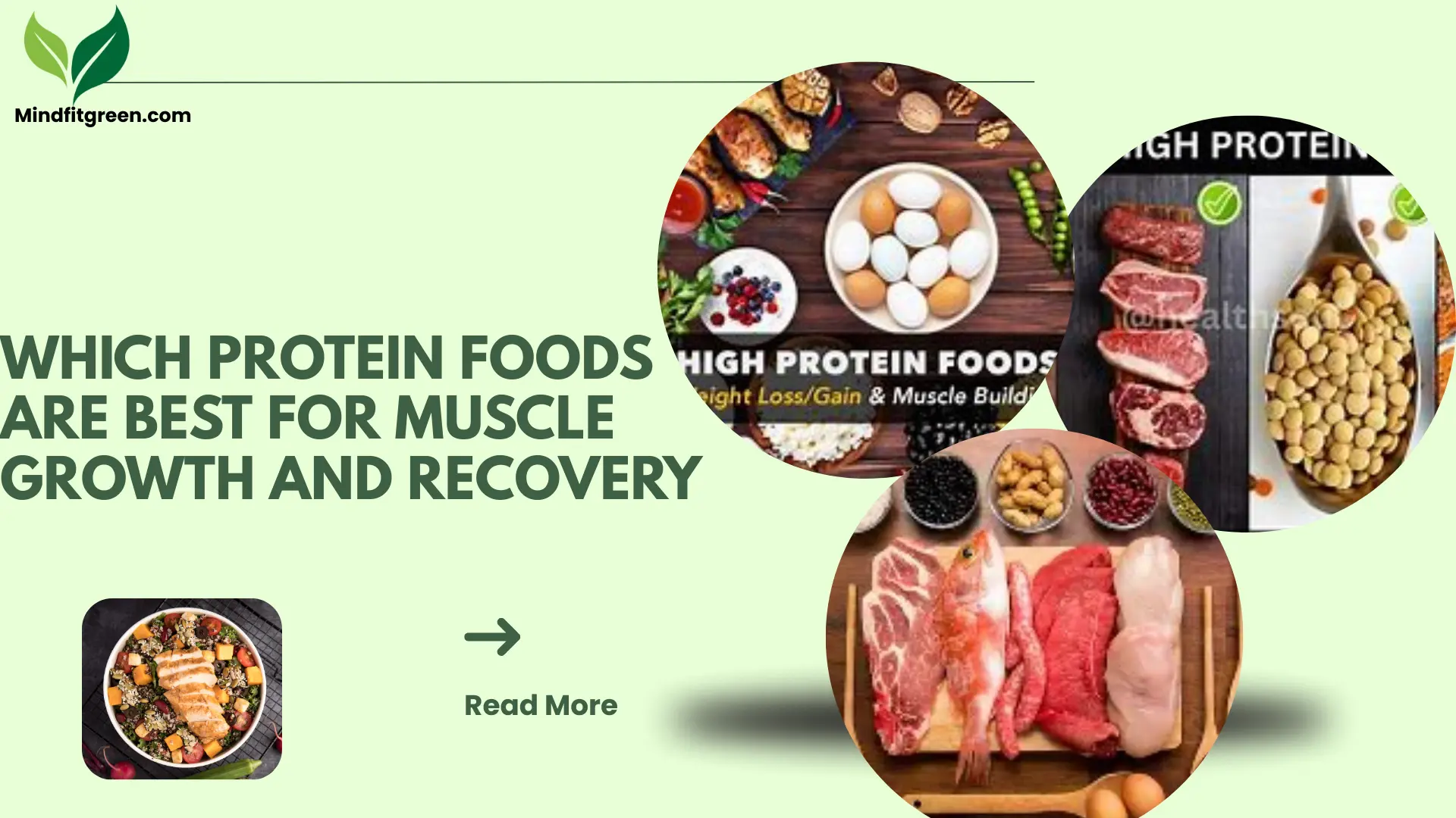 Which Protein Foods Are Best for Muscle Growth and Recovery