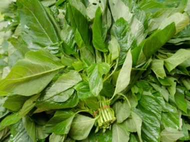 10 Nigerian Leafy Green Vegetables and Their Proven Health Benefits (2026): How to Eat Them for Weight Loss, Heart Health, Diabetes and Stronger Immunity